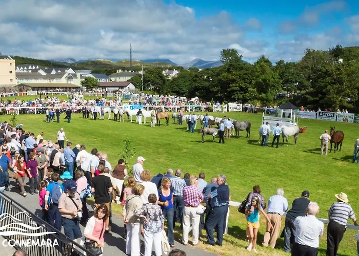 173 - 度假居 克利夫登